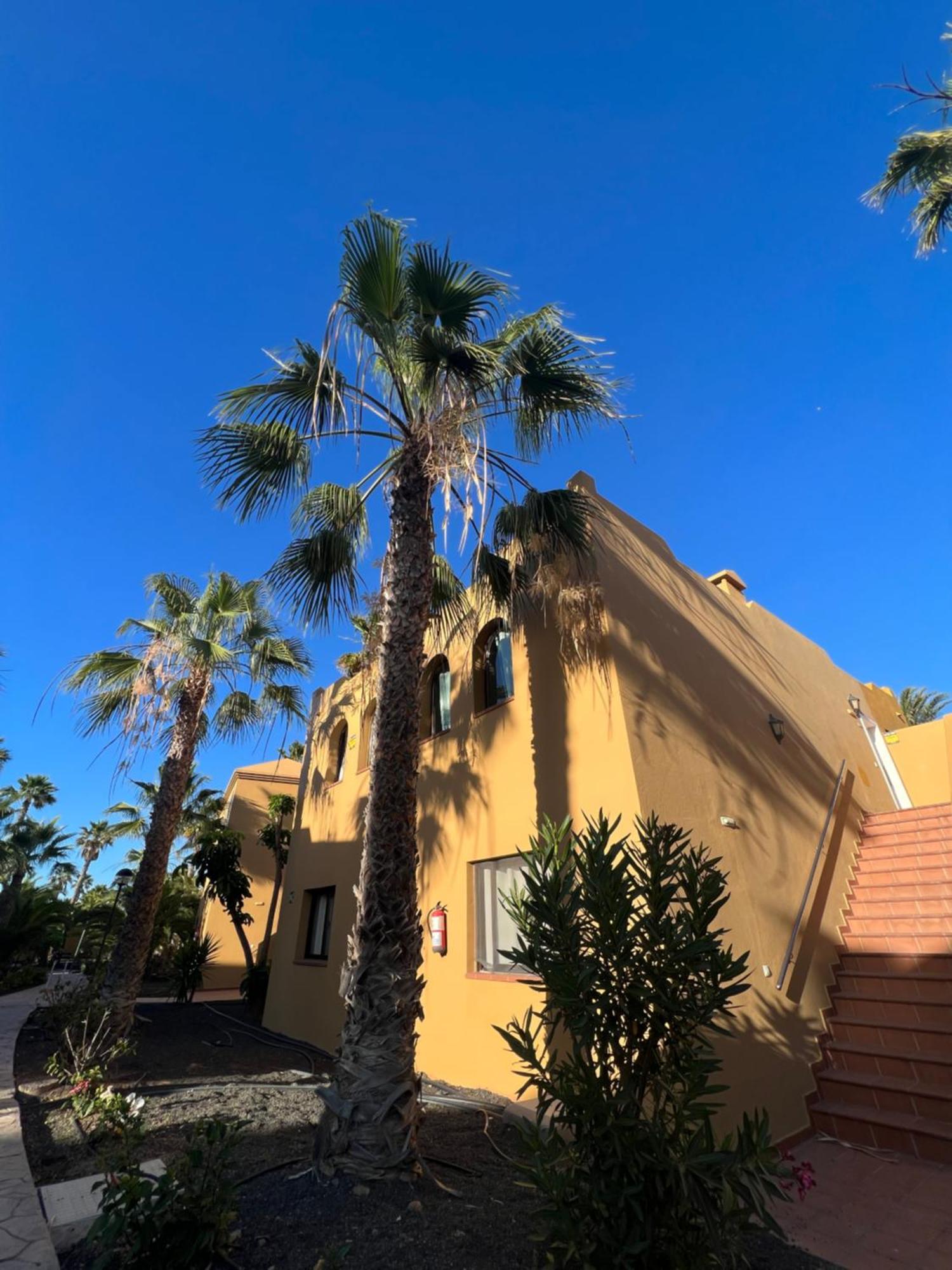 Appartement Casa De Leon à Corralejo Extérieur photo